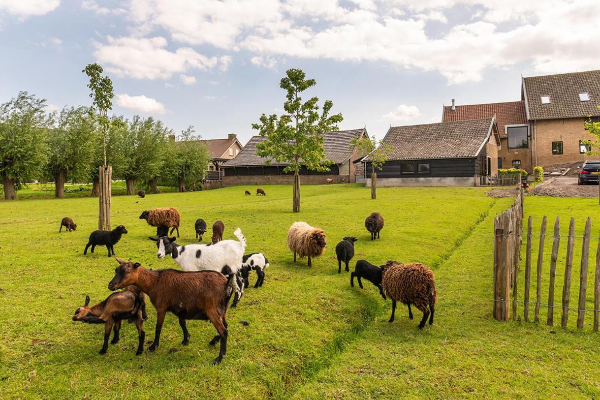 Vakantiehuisje In De Polder Oud-Alblas Exterior foto